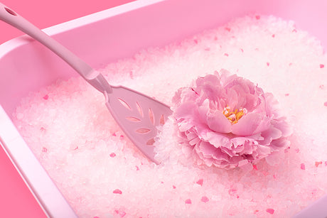 Deo si curatare litiera