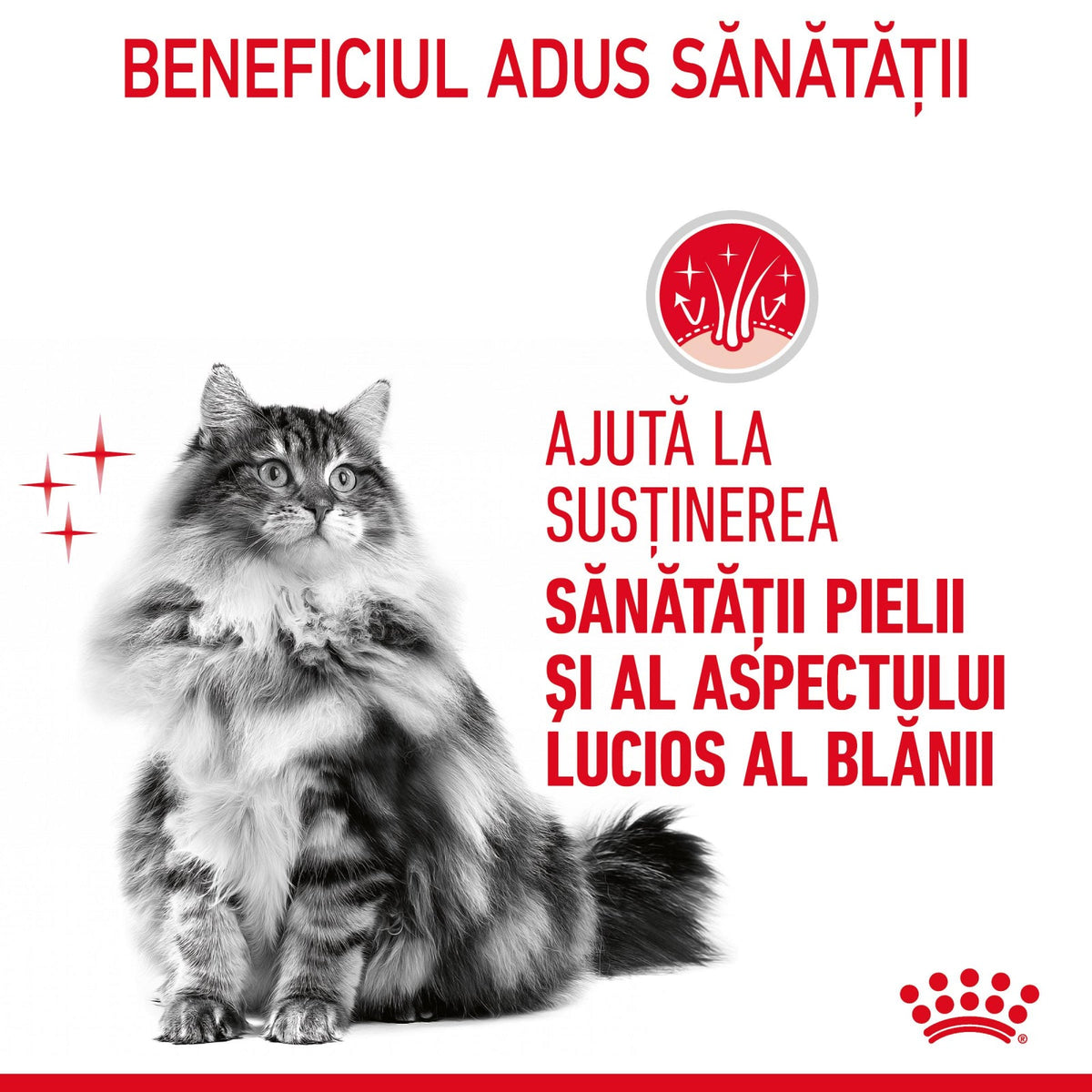 Royal Canin Hair&Skin Care