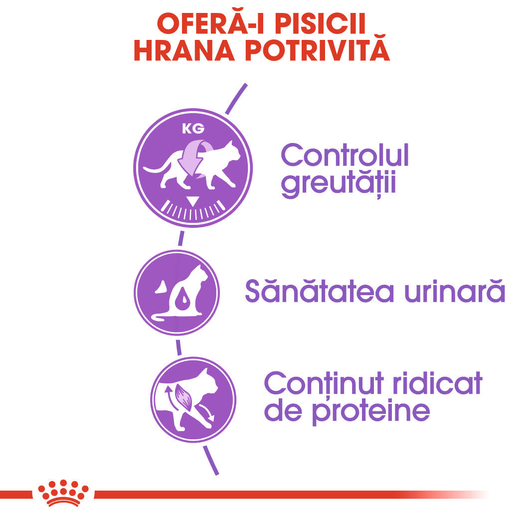 Royal Canin Sterilised Cat
