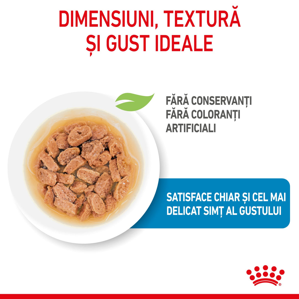 Royal Canin Mini Puppy Plic 85 G