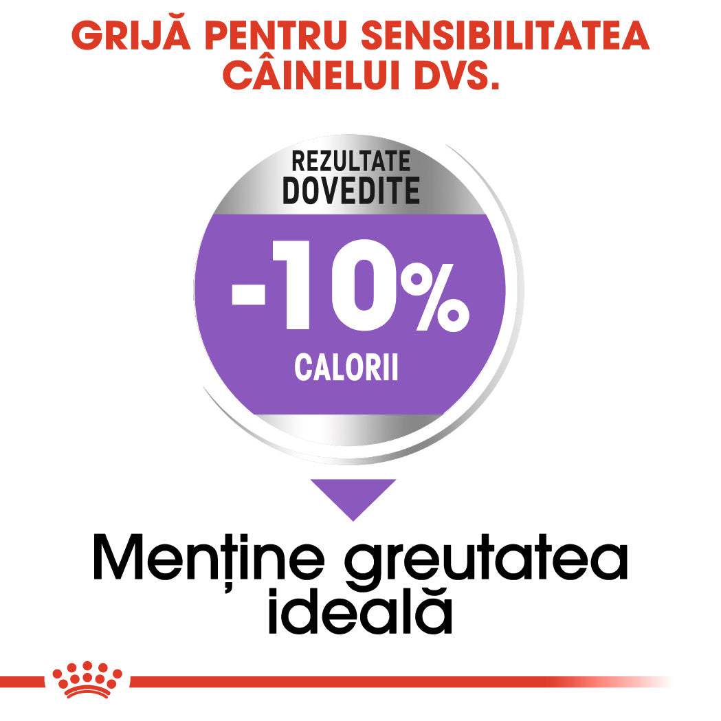 Royal Canin Medium Adult Sterilised