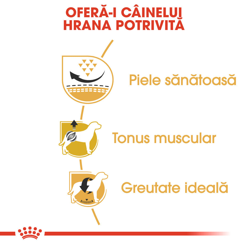 Royal Canin Pug Adult