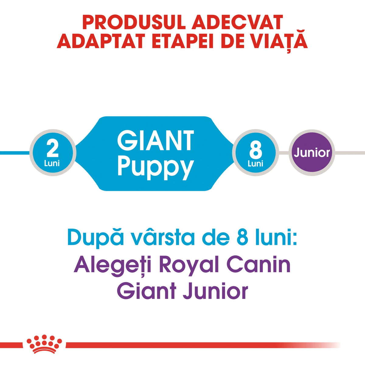 Royal Canin Giant Puppy