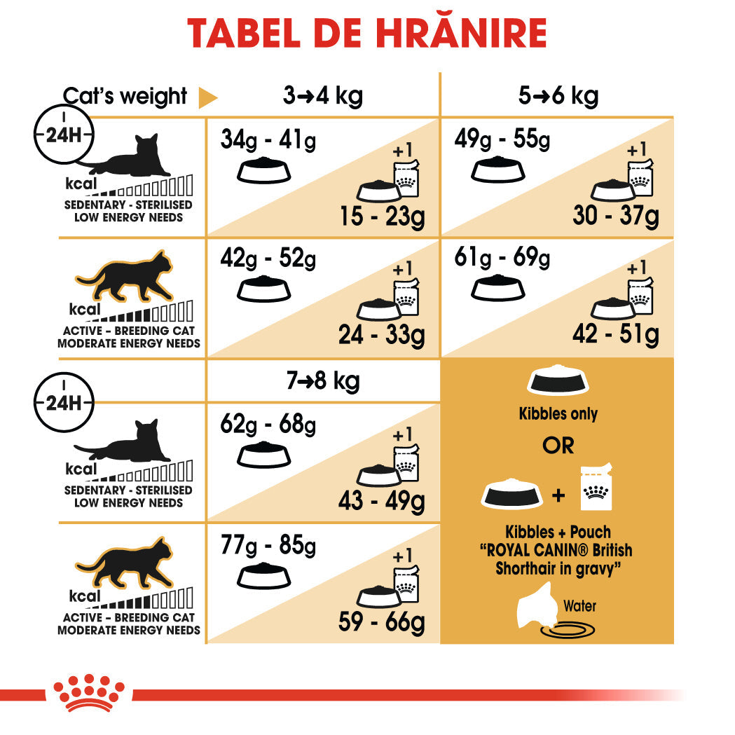 Royal Canin British Shorthair Adult