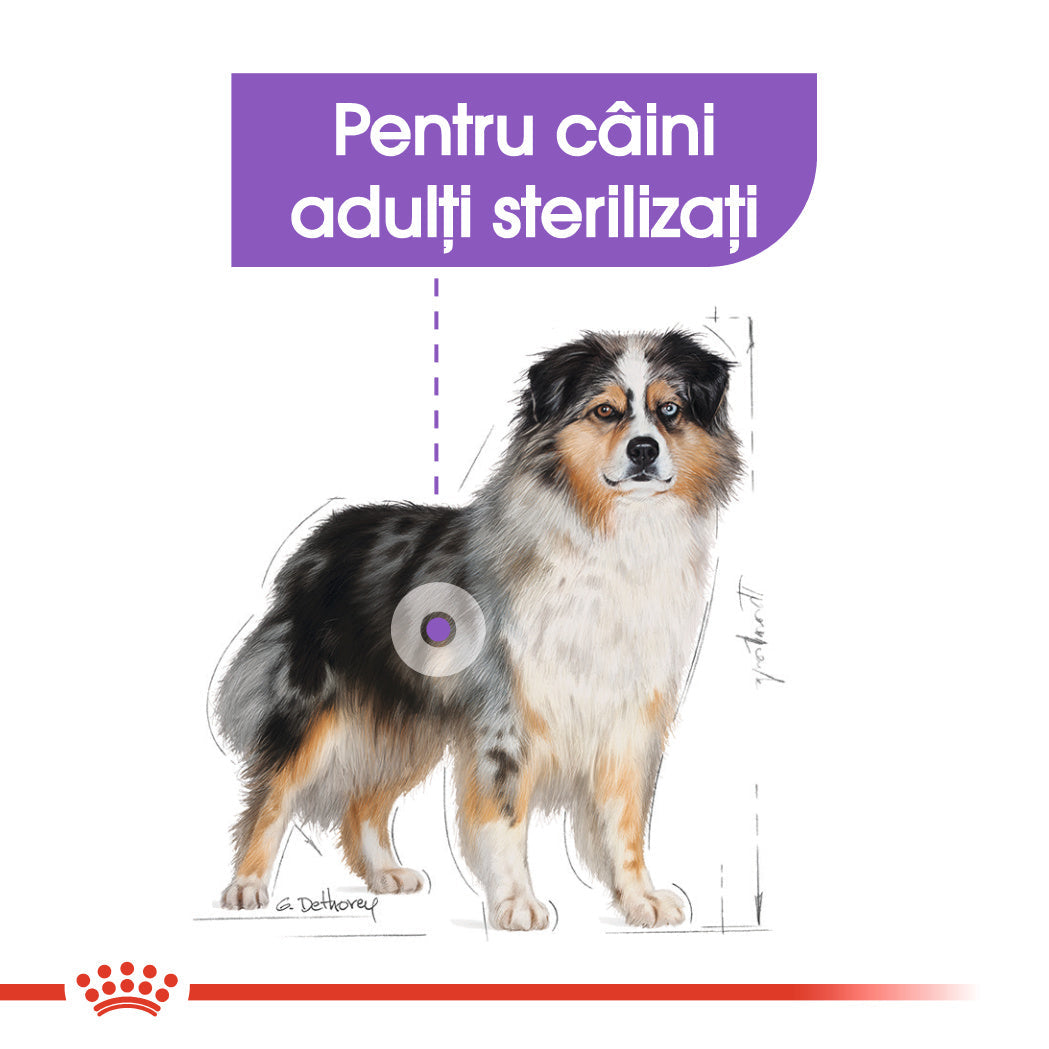 Royal Canin Medium Adult Sterilised