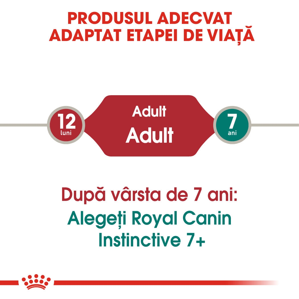 Royal Canin Instinctive In Jelly Plic 85 G