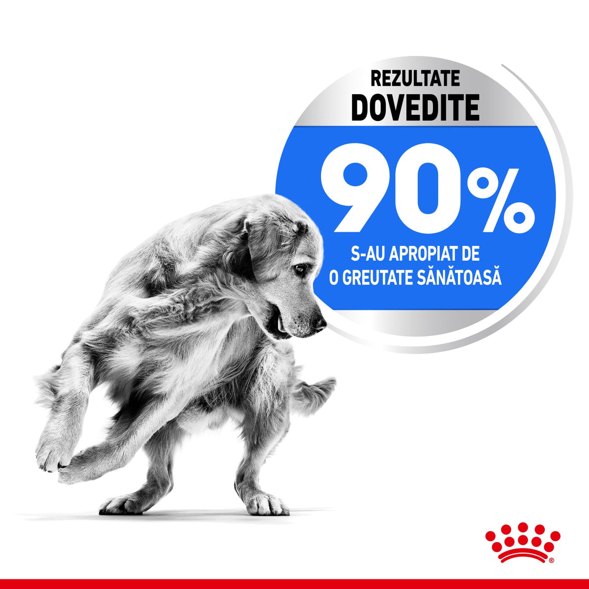 Royal Canin Maxi Light Weight Care