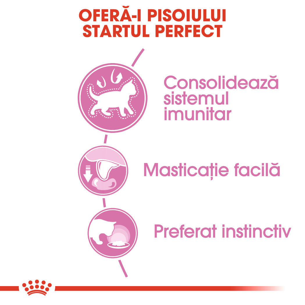 Royal Canin Kitten In Loaf Plic 85 G