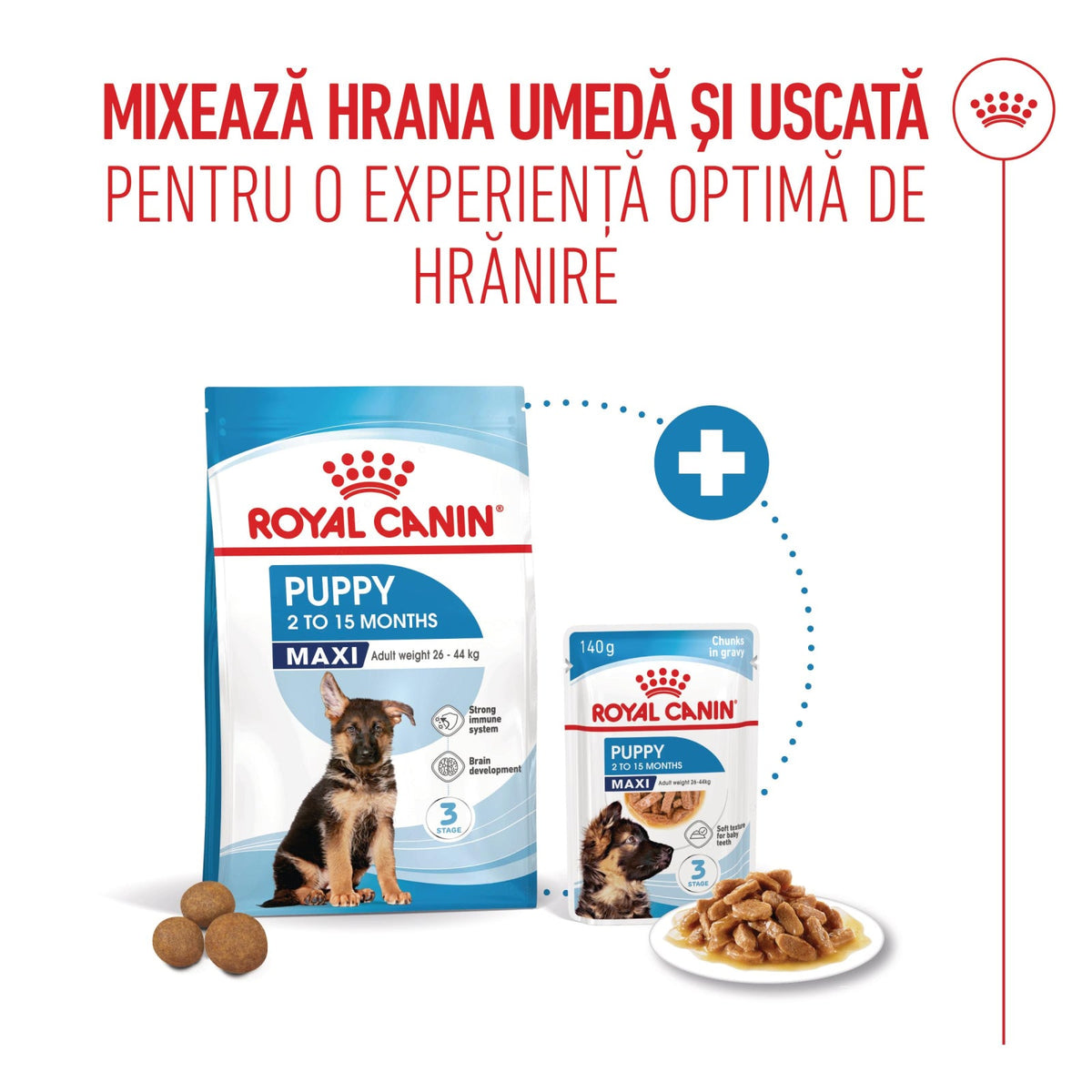 Royal Canin Maxi Puppy