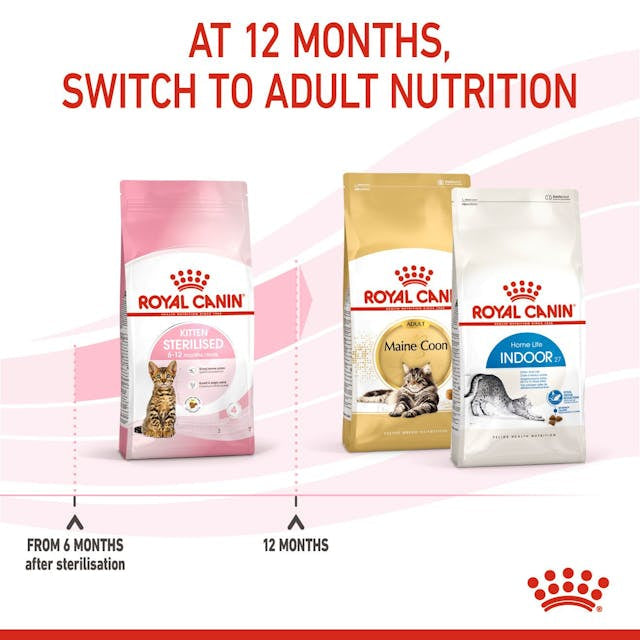 Royal Canin Kitten Sterilised