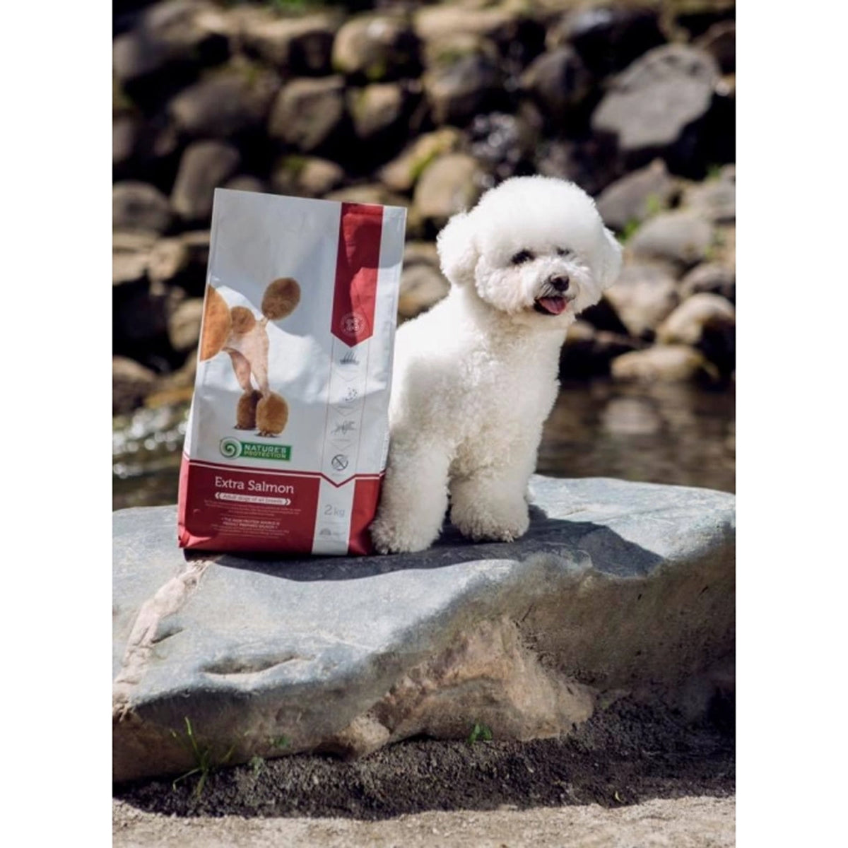 Nature's Protection Dog Adult Extra Salmon