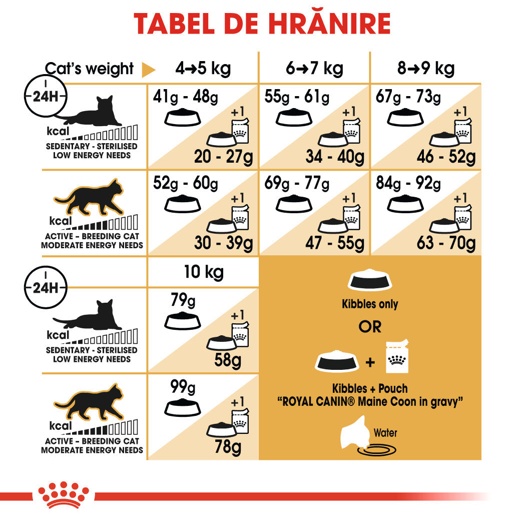 Royal Canin Maine Coon Adult