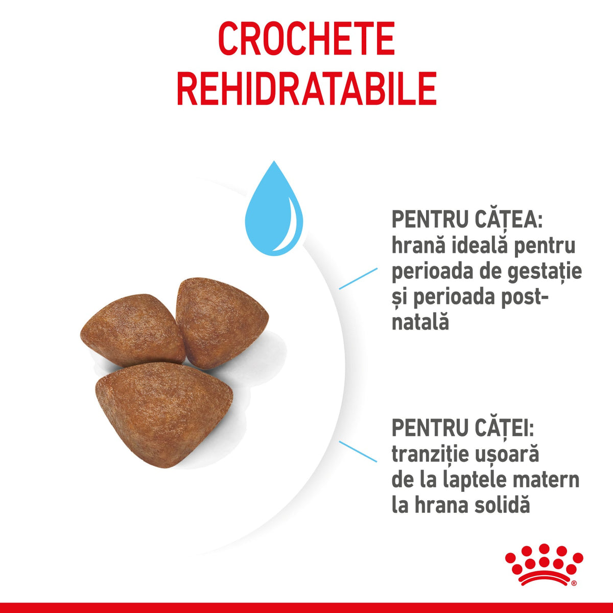 Royal Canin Mini Starter