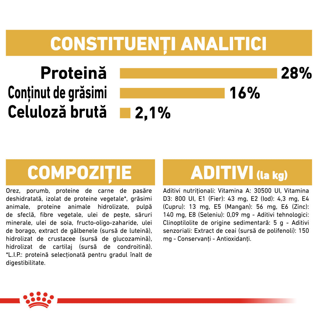Royal Canin Chihuahua Adult