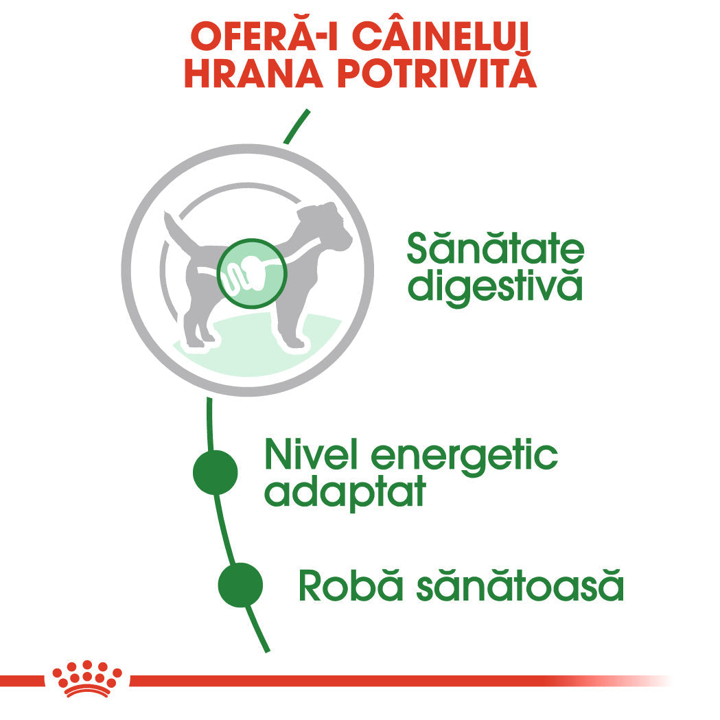 Royal Canin Mini Adult Plic 85 G