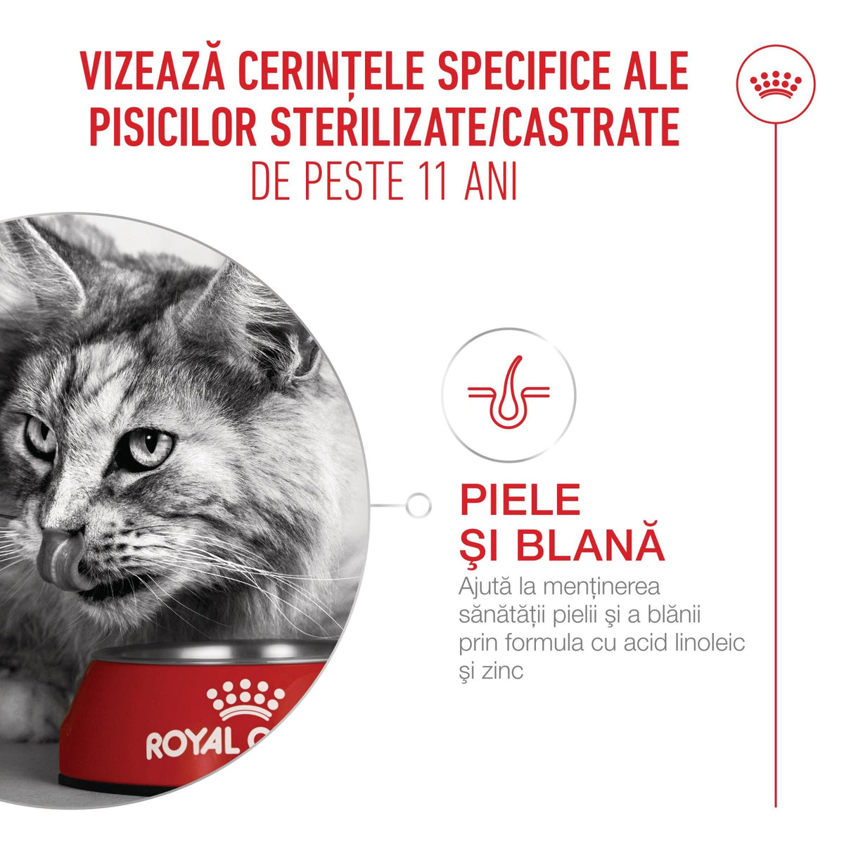 Royal Canin Ageing 11+ Sterilised 400 Gr