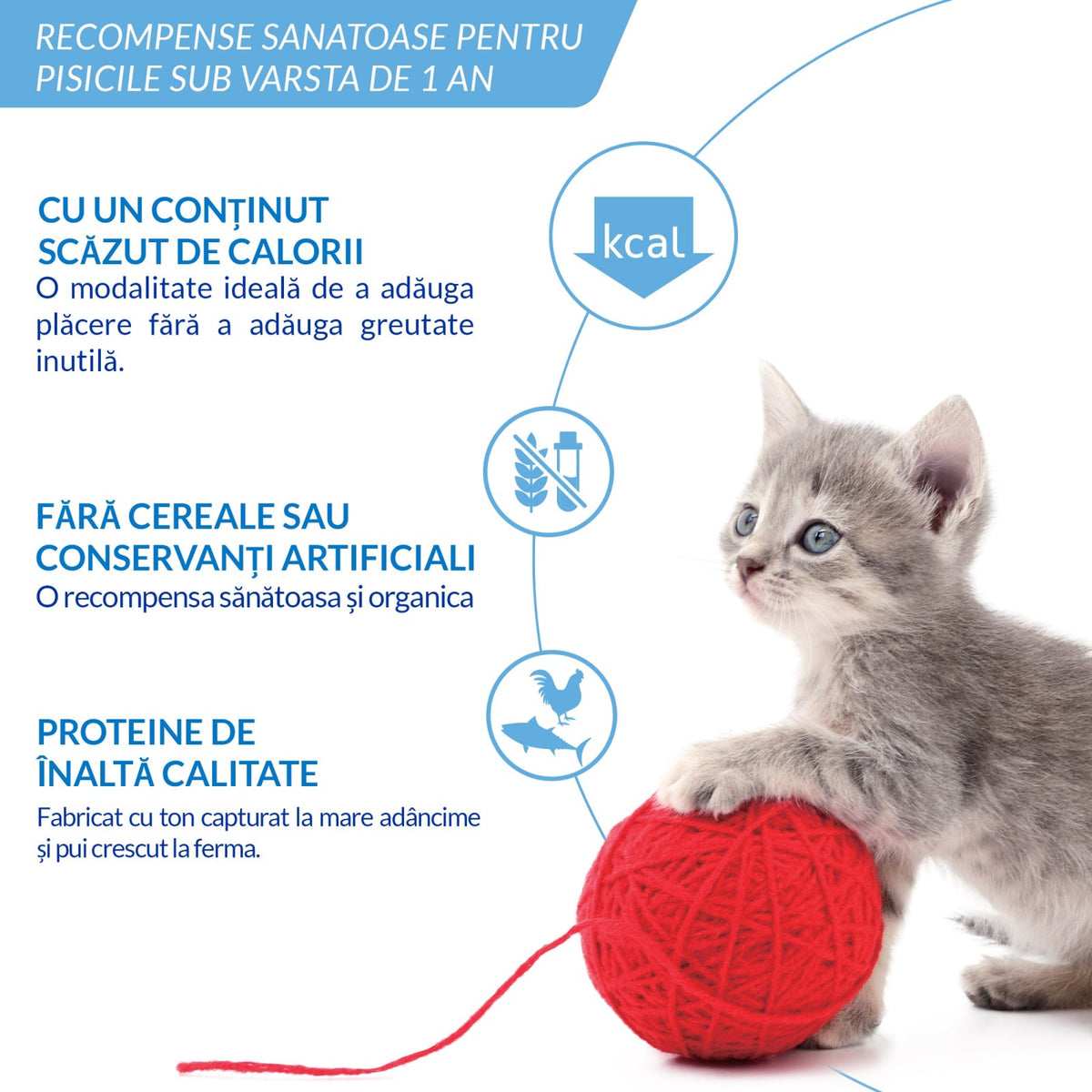Inaba Churu Kitten – informații nutriționale pentru pui de pisică