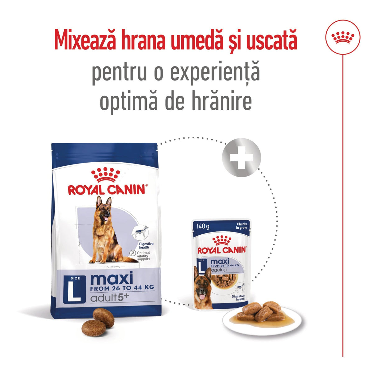 Royal Canin Maxi Adult 5+