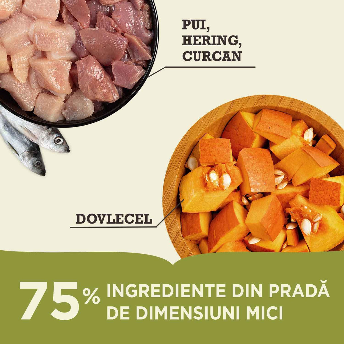 Acana Cat First Feast 1.8 Kg