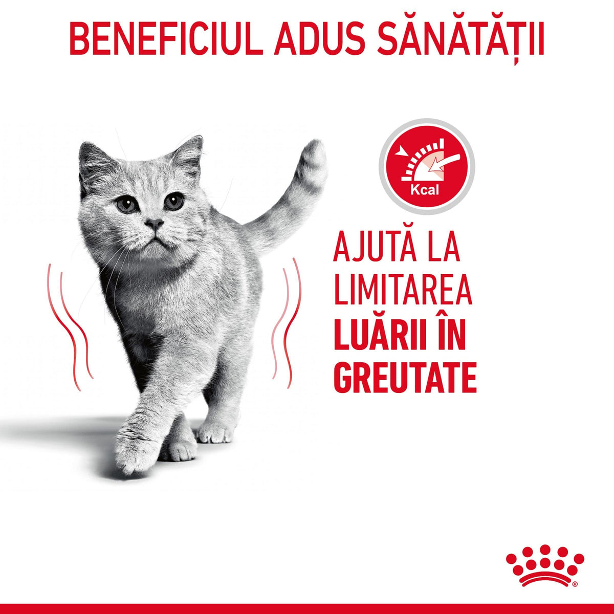 Royal Canin Light Weight Care