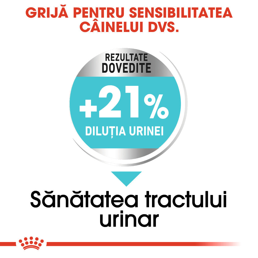 Royal Canin Mini Urinary Care
