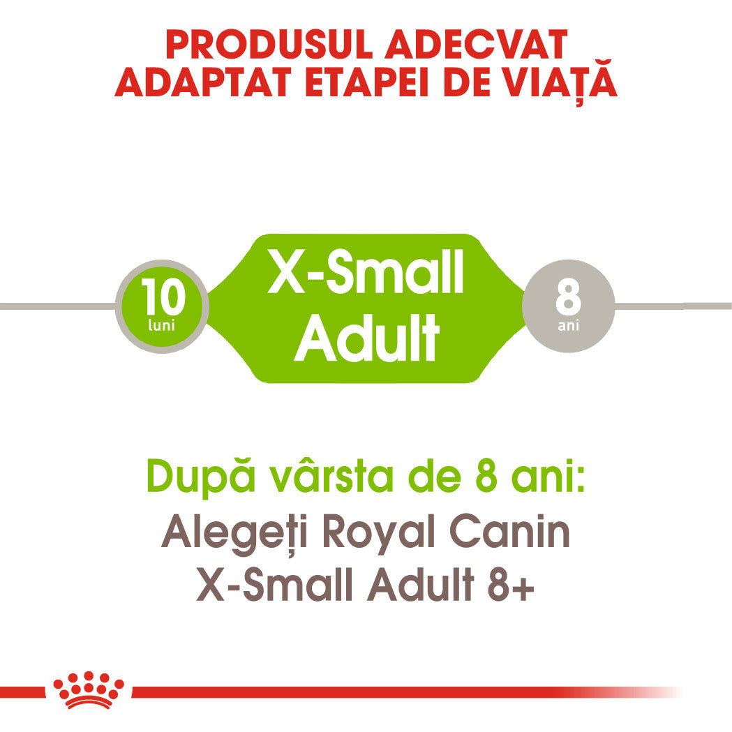 Royal Canin X-Small Adult