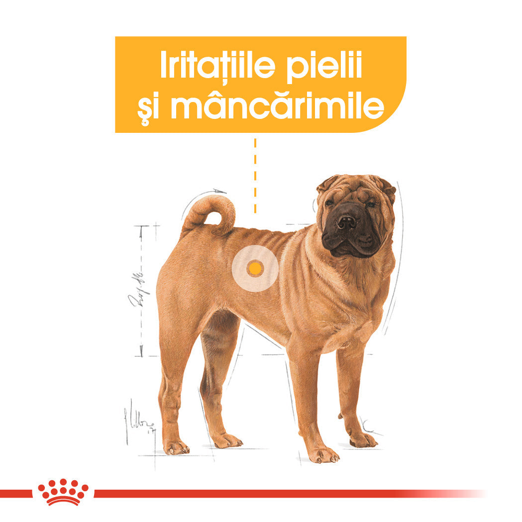 Royal Canin Medium Dermacomfort