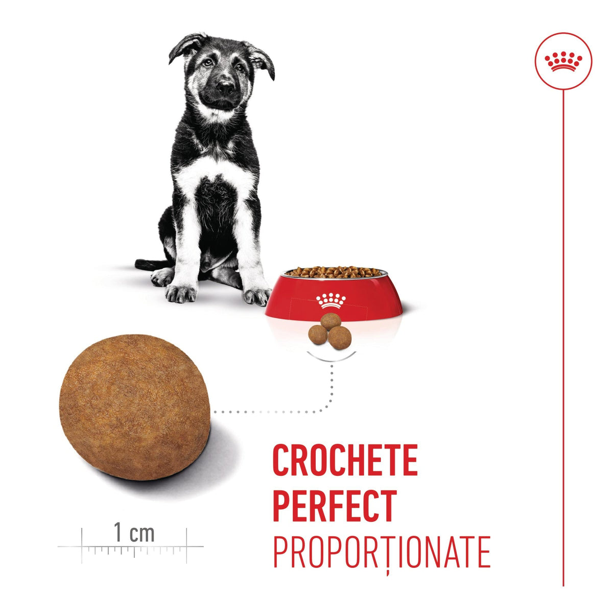Royal Canin Maxi Puppy