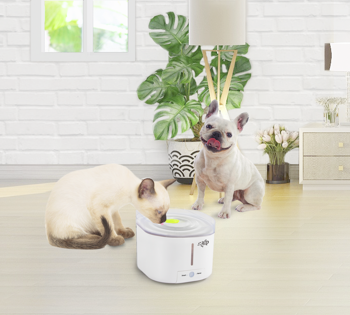 Afp Lifestyle 4 Pets Fantana cu UV pentru Caini si Pisici