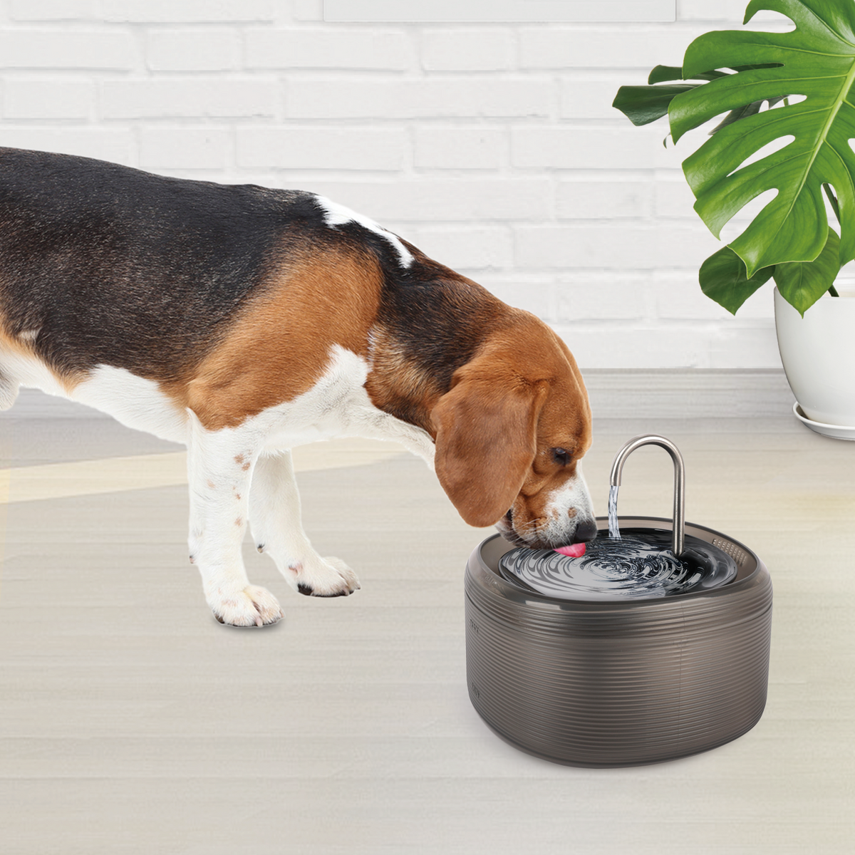All for Paws Fantana Pure Flow Faucet pentru Caini si Pisici 3 L