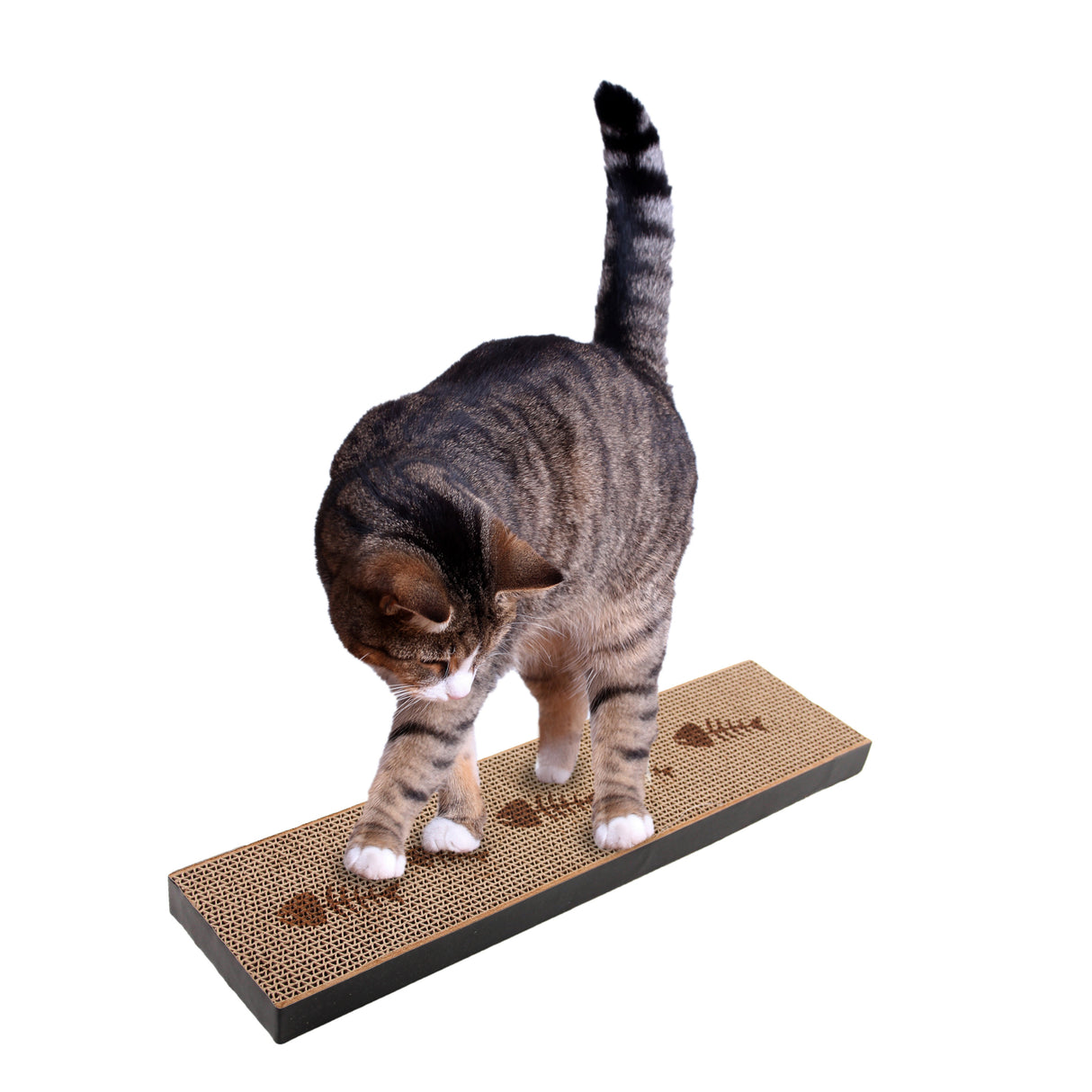 All for paws Jucarie Scratcher pentru Pisici