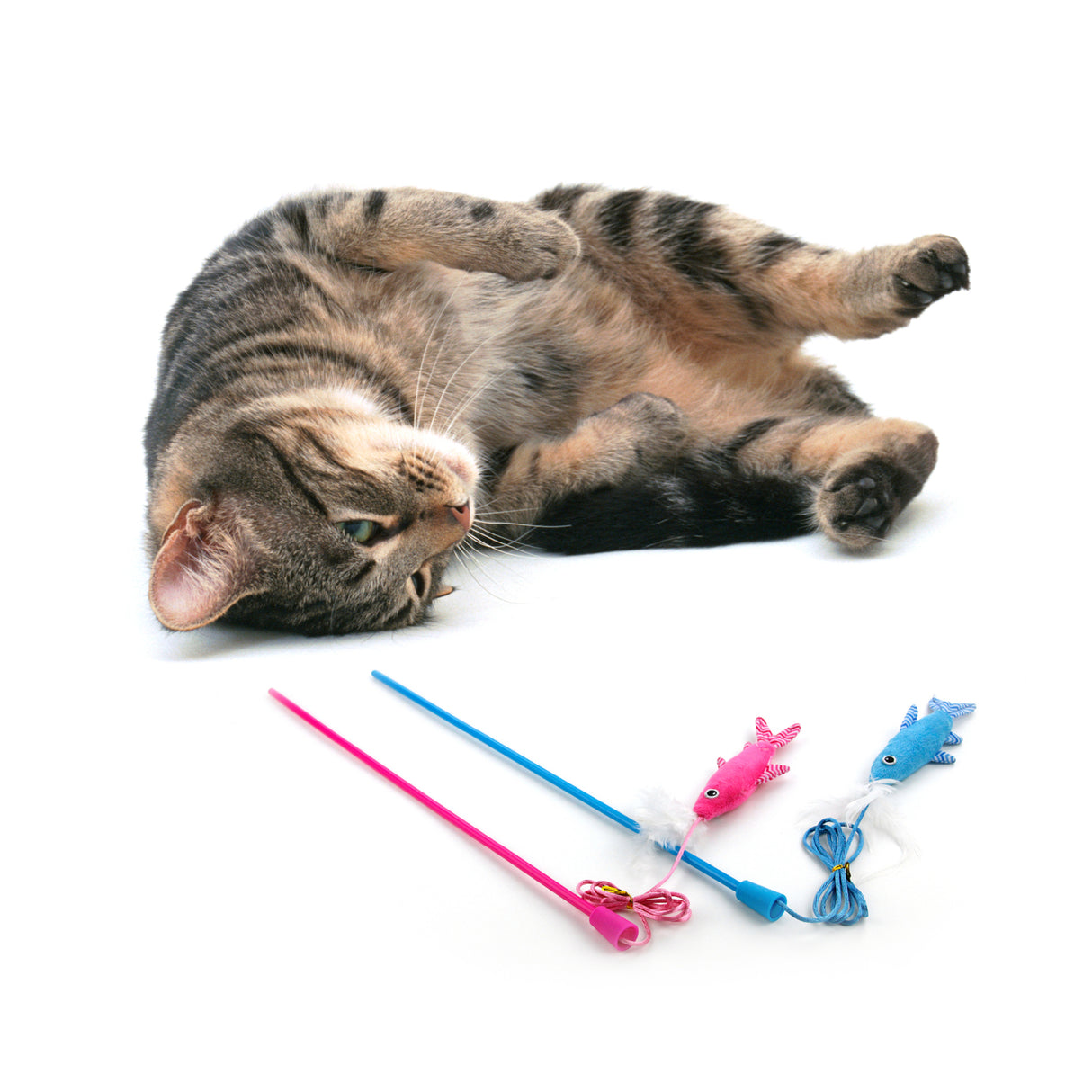 All for paws Jucarie Undita Fish'N Wand