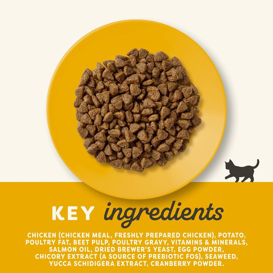 Applaws Hrana Uscata cu Pui pentru Kitten