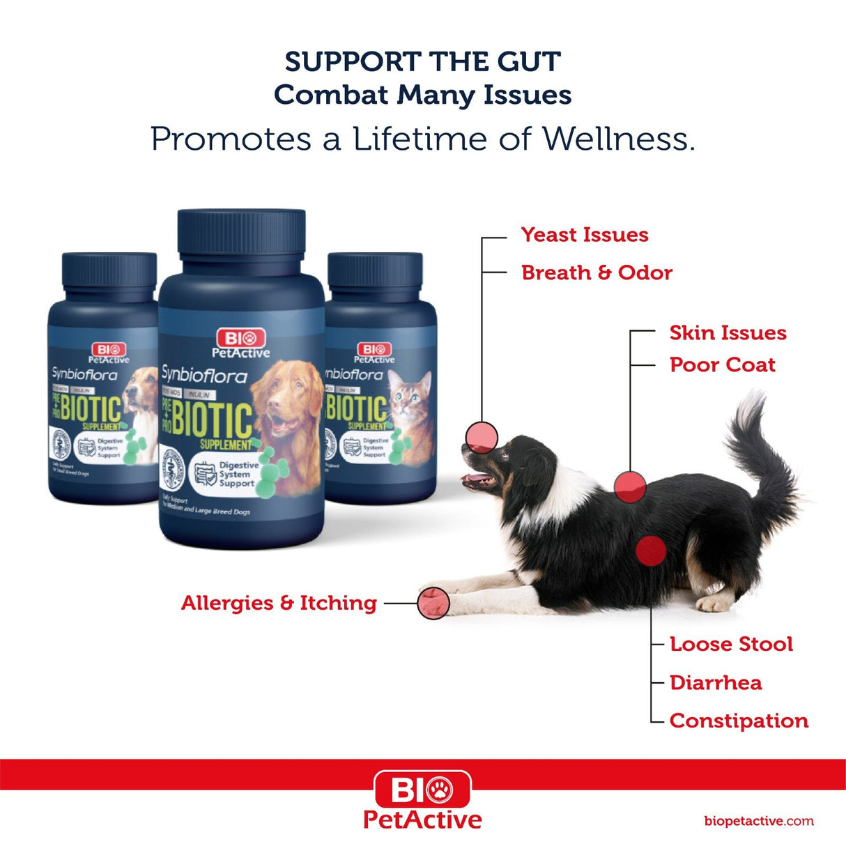 Bio PetActive Synbioflora pentru Caini de Talie Mica