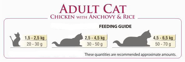 BonaCibo Adult Chicken&Rice with Anchovy