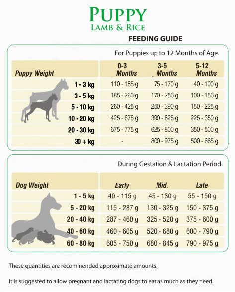 BonaCibo Puppy Lamb&Rice