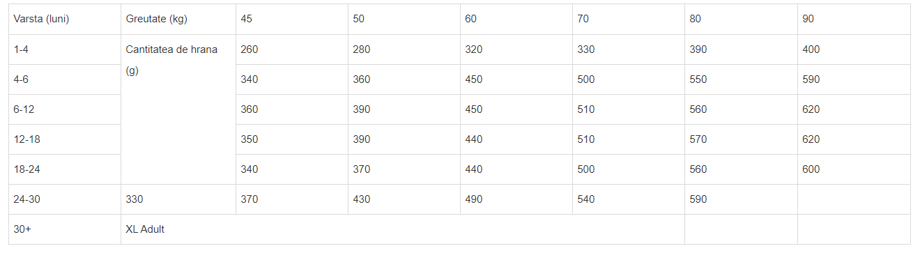 Brit Premium by Nature Junior XL