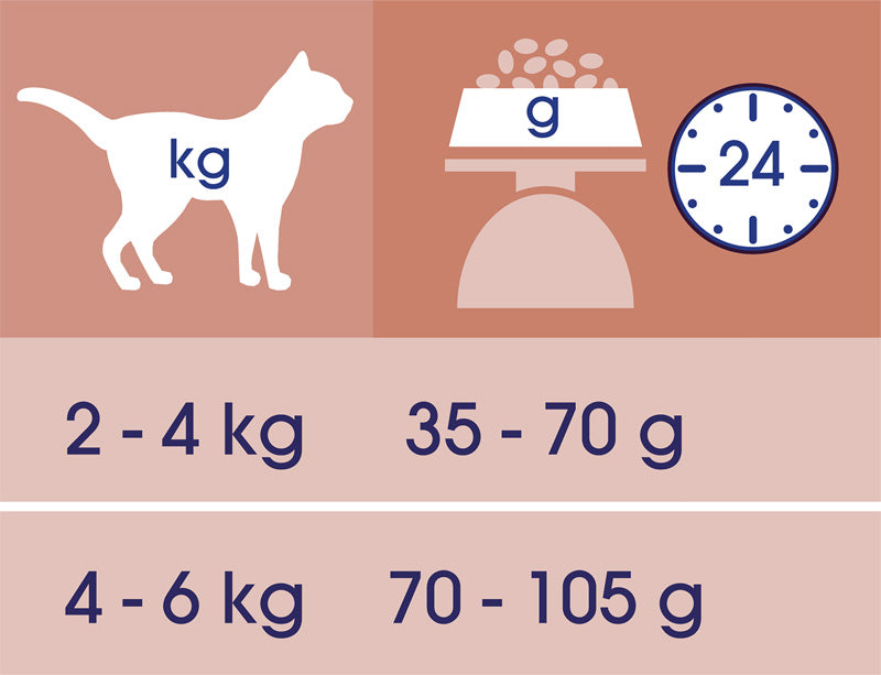 Cat Chow Adult Sensitive Somon