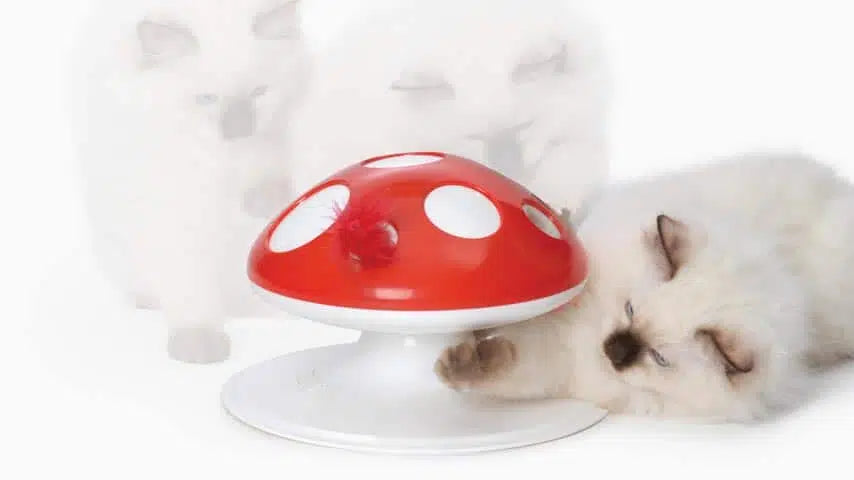 Catit Pixi Jucarie Dinamica Senses Mushroom pentru Pisici