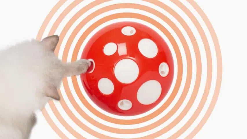 Catit Pixi Jucarie Dinamica Senses Mushroom pentru Pisici