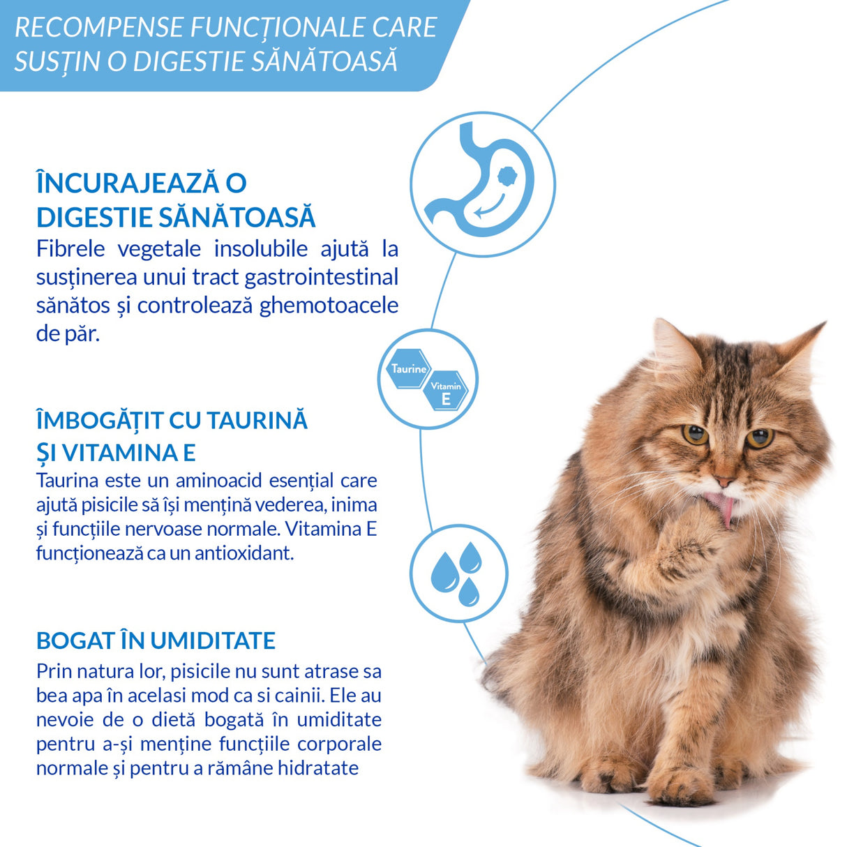 Ciao Churu Hairball Control Recompensa Cremoasa cu Pui