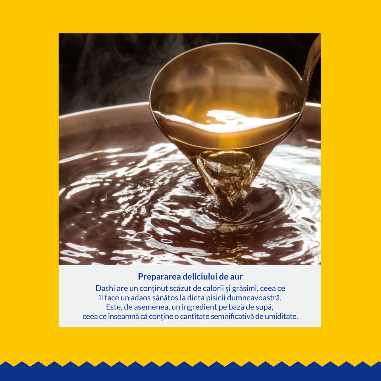 Ciao Dashi pentru pisici cu Pui si Ton