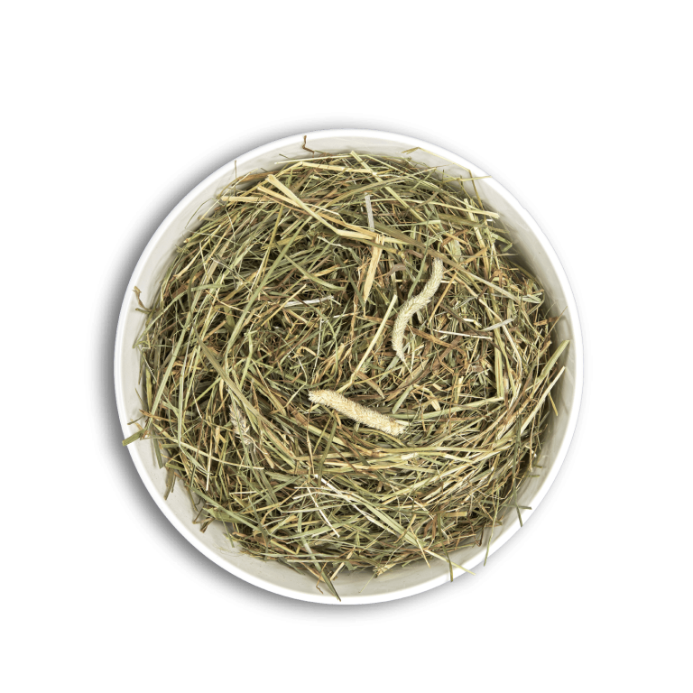 Cunipic Fan pentru Rozatoare 1 Kg