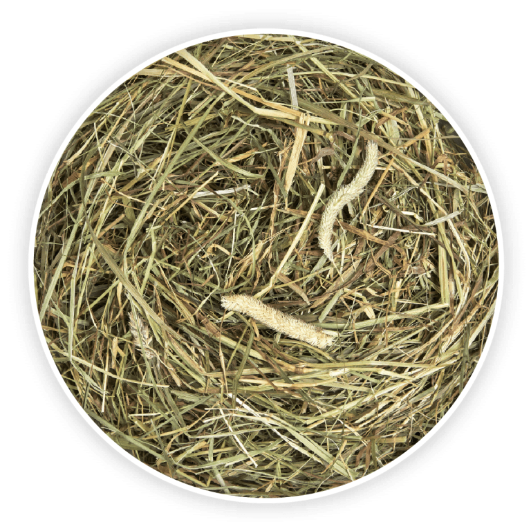 Cunipic Naturaliss Timothy Fan pentru Rozatoare 500 Gr