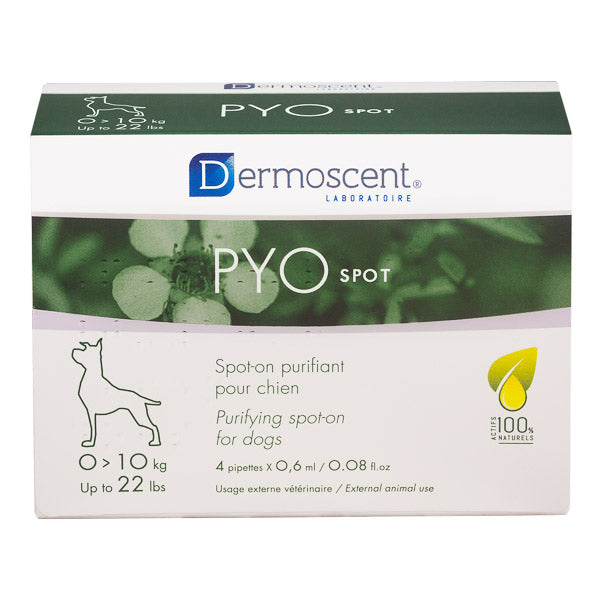 Dermoscent Dermoscent PYOSpot On Caine 4 Pipete