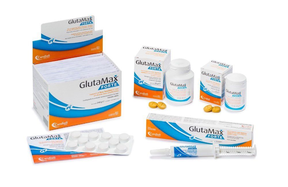 Glutamax Forte 120 Tbl