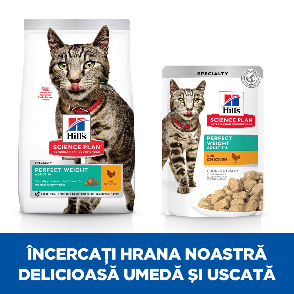 Hills SP Feline Adult Perfect Weight cu Pui si Somon 12x85 Gr