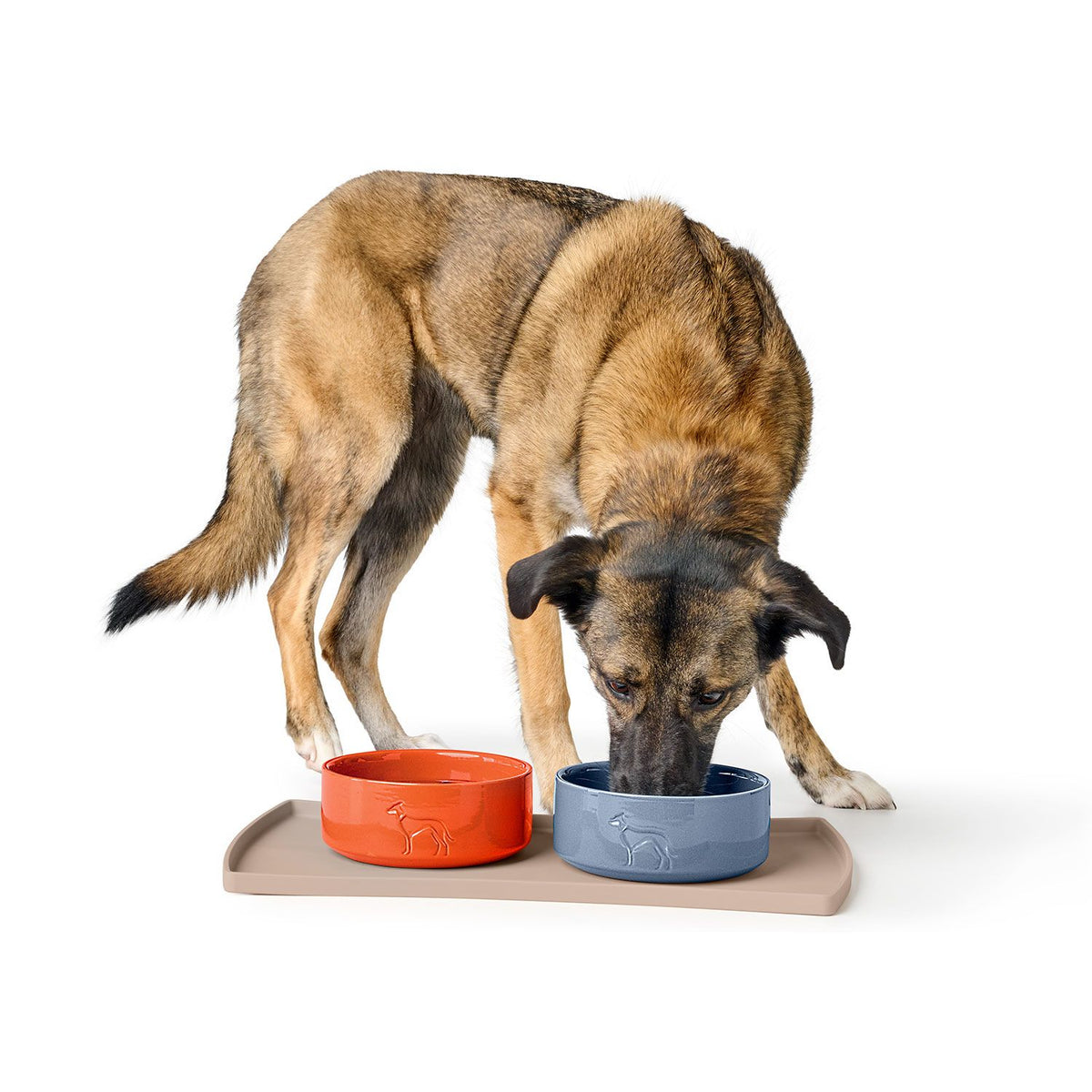 Hunter Bol Osby Glazed din Ceramica pentru Caini