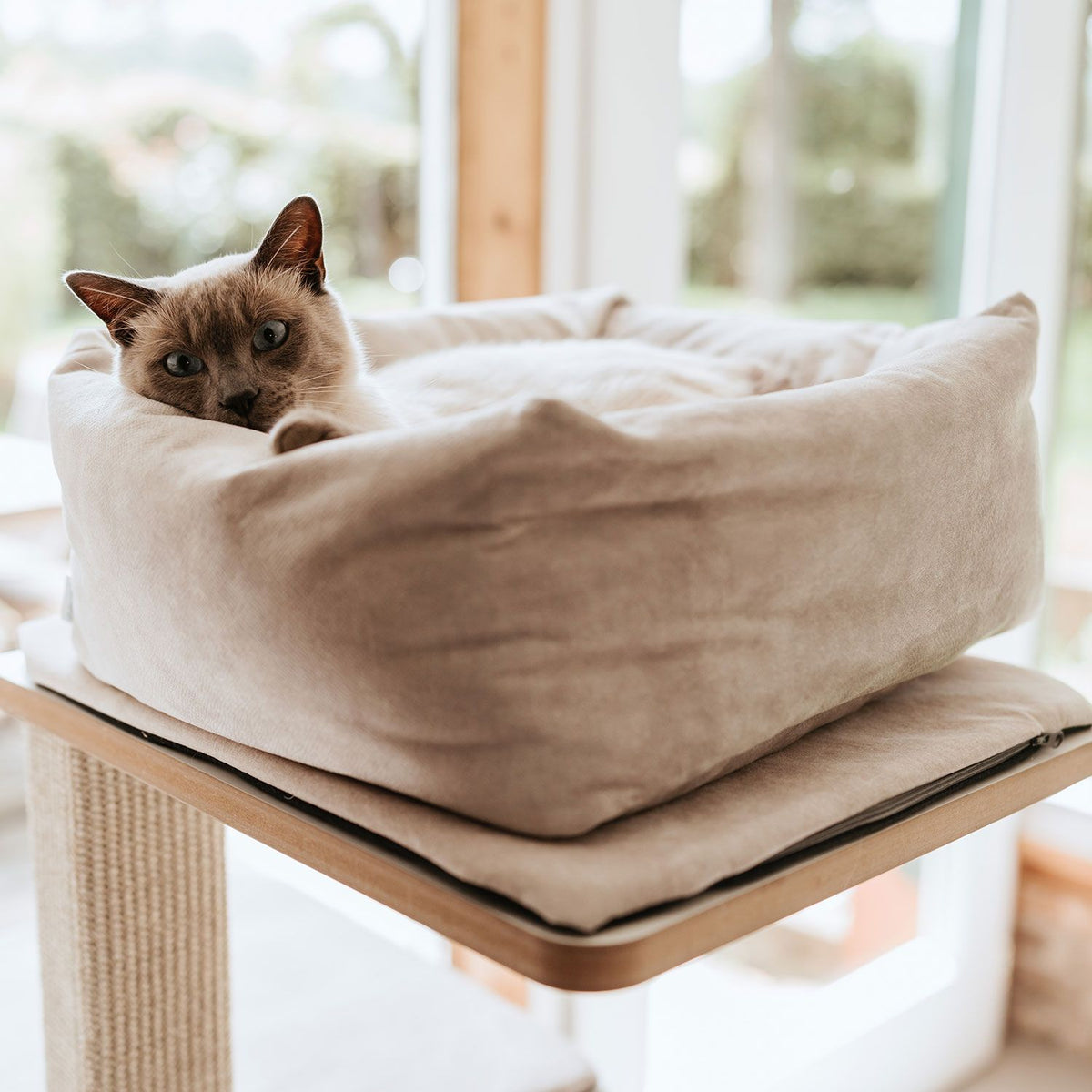 Hunter Culcus Bed Cat Dreamie S 40x40Cm