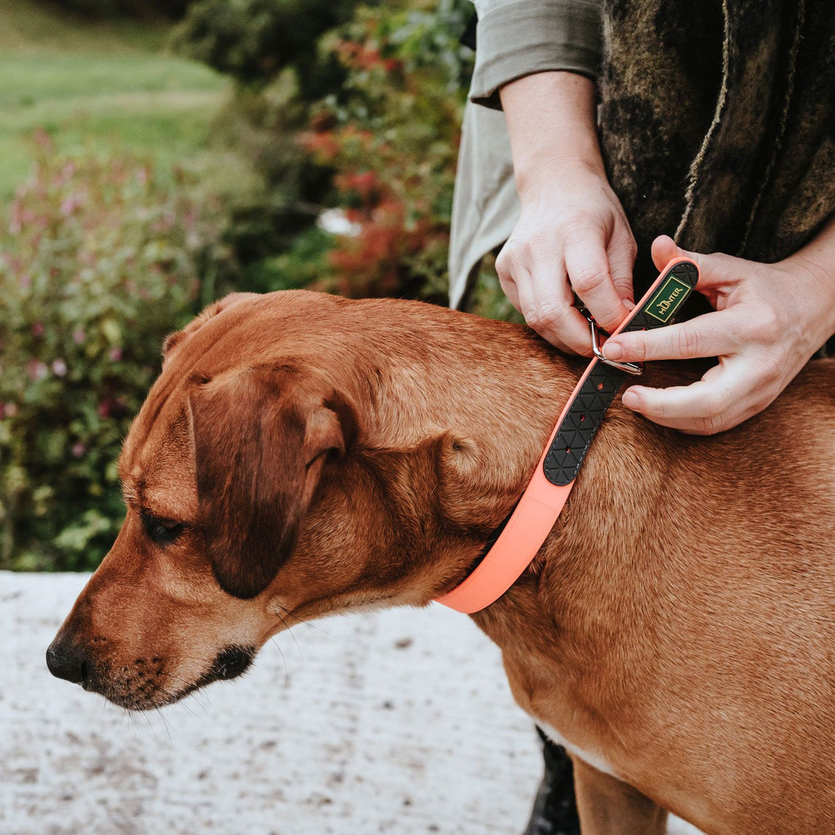 Hunter Zgarda Convenience Confort M-L 55 Cm